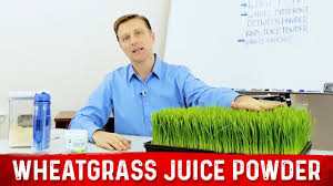 what is wheatgr juice powder