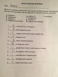 Biology name key mitosis meiosis test review worksheet 1. Solved Meiosis Matching Worksheet Hunme Hunand Match The Chegg Com