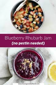 blueberry rhubarb jam it s a veg
