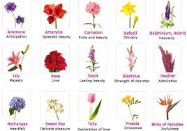 some flower meanings you have to know