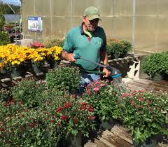 home wojtusik garden center landscaping