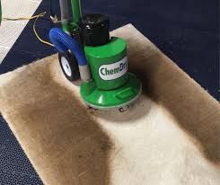 7 tips for a cleaner carpet chem dry