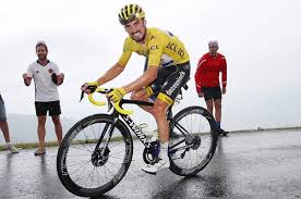 Page officielle du cycliste julian alaphilippe, coureur français pour deceuninck Julian Alaphilippe France Climbs Stage 15 Tour 2019 Images Cycling Posters