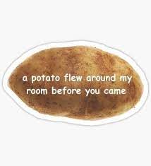 The singer mistaken tornado for potato.then the kid got hit in the head by the potato after the video and. A Potato Flew Around My Room Before You Came Vine Quote Meme Stickers Hydroflask Stickers