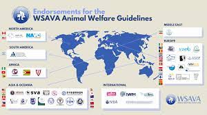 While objective data are currently limited, these guidelines provide information to assist in the diagnosis and management of upper and lower urinary tract infections in dogs and cats. Animal Welfare Guidelines Wsava