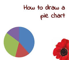 Data Handling Drawing Pie Charts