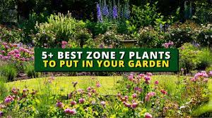 zone 7 plants to put in your garden