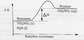 Cooling Effect Of Ammonium Nitrate In Water