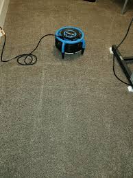 absolute first response carpet care