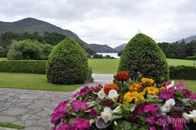 gardens in killarney national park