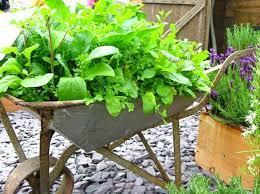 Portable Gardens For Ers And