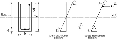 strain and stress distribution for an