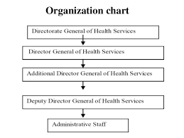 43 Explicit Organization Chart Of Phc