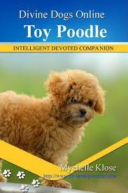 toy poodles ebook by myce klose
