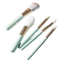 nusvan makeup brush set mint