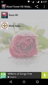 Download and use 60,000+ rose flower stock photos for free. Rose Flower Hd Wallpapers For Android Apk Download