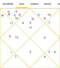 Any Astrologer Present There Sir With Detail About Guru