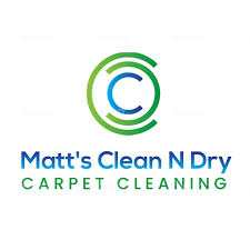 carpet cleaning in the villages fl