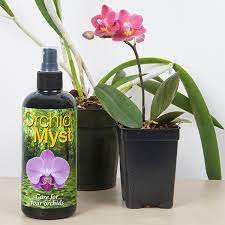 Orchid Plants Accessories