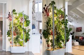 This Indoor Garden Lets You Grow Up To