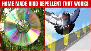 homemade bird repellents to keep birds