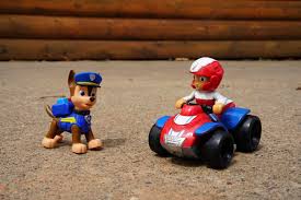 41 paw patrol character names with fun