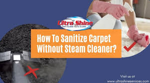 sanitize carpet without steam cleaner