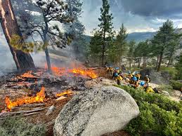The popular getaway of south. I Am Afraid Tahoe Emergency Crews Respond To Near Daily Illegal Campfires