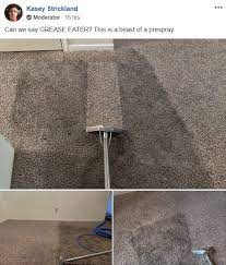 best carpet cleaning chemical enzymes