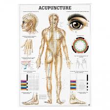 Acupunctureworld Body Acupuncture Teaching Charts
