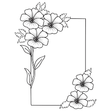 white background flowers drawing
