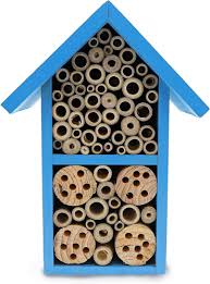 Blue Mason House Hive