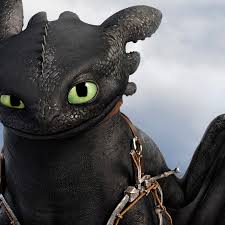 to train your dragon 3
