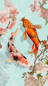 koi colors fish 3d hd wallpaper pxfuel