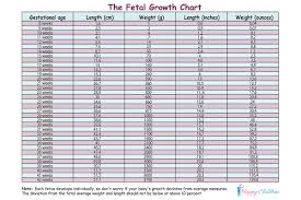 fetal growth chart the children s