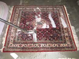 rug cleaning knoxville 5 star carpet