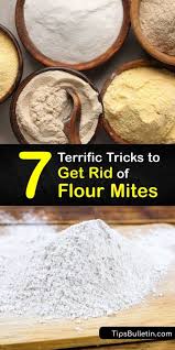7 terrific tricks to get rid of flour mites