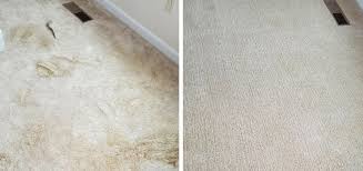 5 commercial carpet cleaning processes