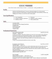12151 Computer Security Resume Examples Computers And Technology