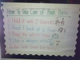 How To Take Care Of Book Bins Anchor Chart Anchor Charts