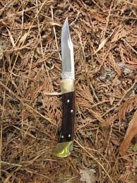 Classic Knife Review Buck 110 Folding Hunter The Truth