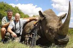 Image result for dan the dentist guy who killed animals