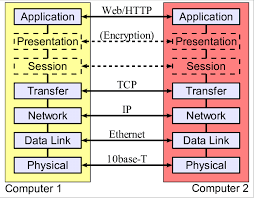 The open system interconnection (osi model) also defines a logical network and effectively describes computer packet transfer by using various layers of protocols. The Seven Layer Osi Model For Networking Showing Example Protocols Download Scientific Diagram