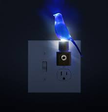 Blue Canary In The Outlet By The Light Switch Who Watches