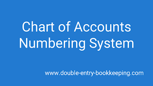 Chart Of Accounts Numbering System Double Entry Bookkeeping