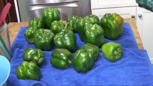 how to freeze bell peppers kevin lee