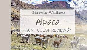 Sherwin Williams Alpaca Sw 7022 Review