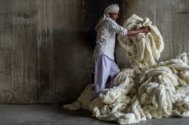 armadillo rugs fair trade