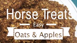 diy easy horse treats you
