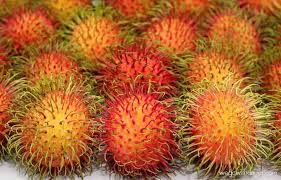 Image result for malaysian fruits name